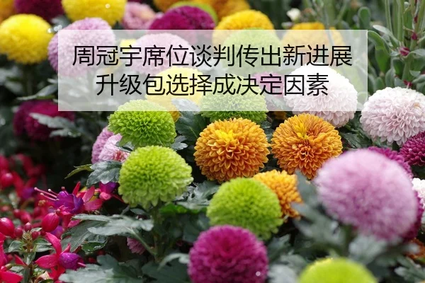 周冠宇席位谈判传出新进展 升级包选择成决定因素