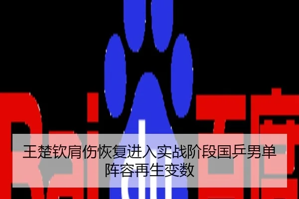 王楚钦肩伤恢复进入实战阶段国乒男单阵容再生变数